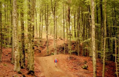 Offerte Primavera/Estate 2019 Offerte Primavera/Estate 2019