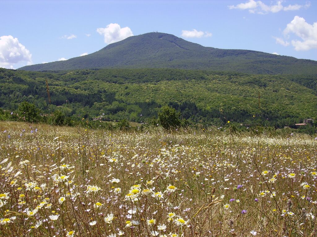 L’Amiata tra natura e tradizioni